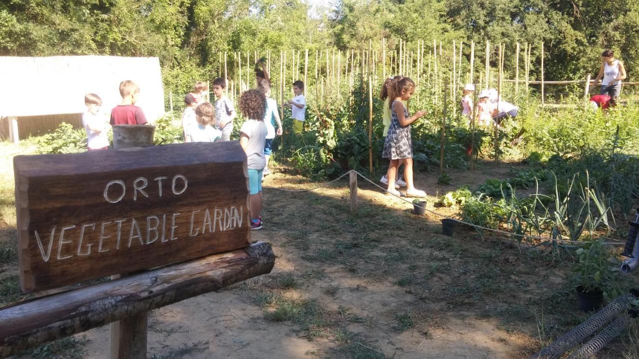 Agriturismo L'Accolta Tuoro sul Trasimeno Exterior foto